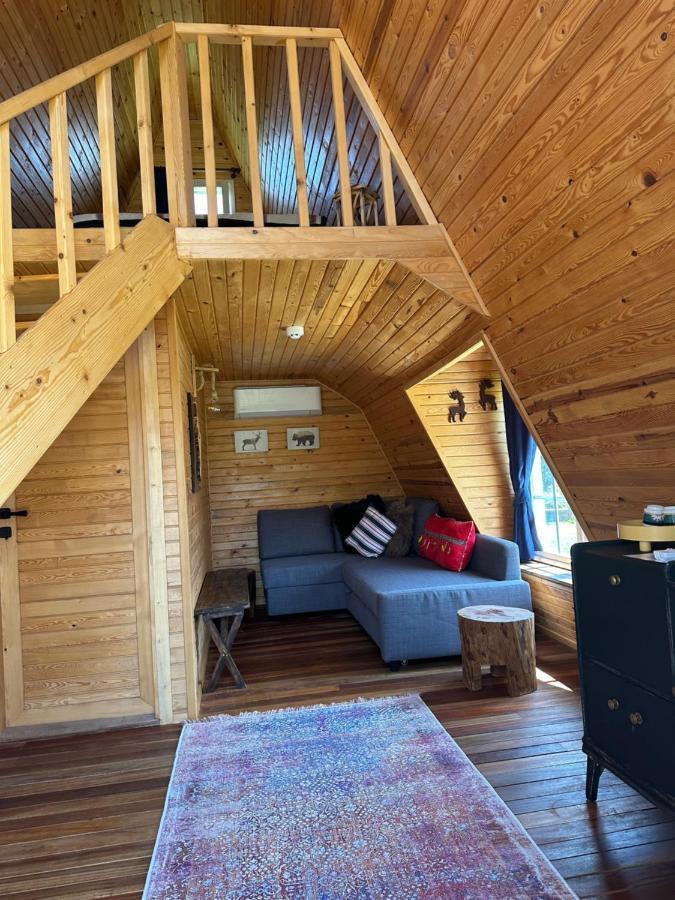 Seyyah Cafe Bungalows Aliaga Exteriör bild