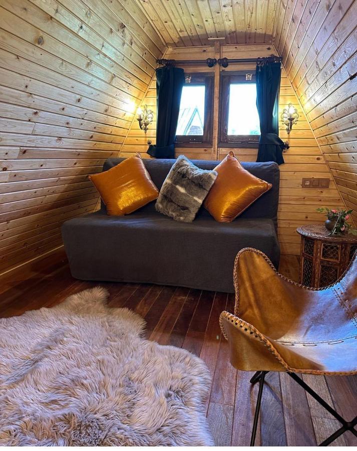 Seyyah Cafe Bungalows Aliaga Exteriör bild