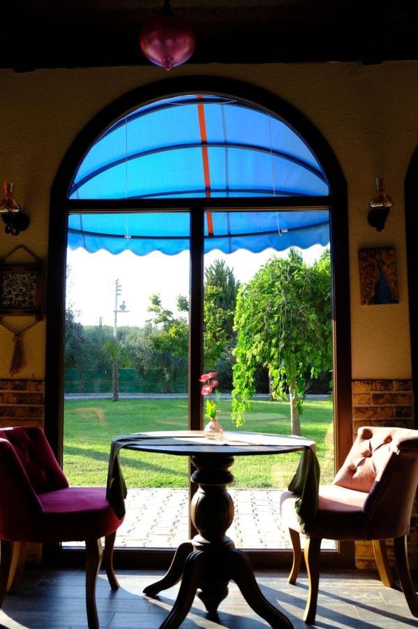 Seyyah Cafe Bungalows Aliaga Exteriör bild